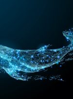 تجزیه کننده بلاک چین مقادیر قابل توجهی از “BTC سرد” را به صرافی های فعال منتقل می کند – اخبار ویژه بیت کوین تجزیه کننده بلاک چین مقادیر قابل توجهی از “BTC سرد” را به صرافی های فعال منتقل می کند – اخبار ویژه بیت کوین