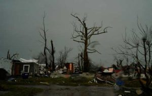 حیوانات خانگی که در اثر گردباد کنتاکی آواره شده اند، پناهگاهی امن در پناهگاه محلی پیدا می کنند حیوانات خانگی که در اثر گردباد کنتاکی آواره شده اند، پناهگاهی امن در پناهگاه محلی پیدا می کنند