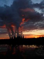 دراکس بریتانیا ظرفیت تولید زیست توده پایدار را تا سال 2030 دو برابر خواهد کرد