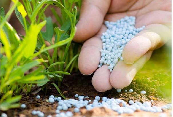 آلودگی محصولات کشاورزی به دلیل استفاده از سموم چینی تکذیب شد