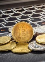 شما چه نوع معامله گر فارکس هستید؟ شما چه نوع معامله گر فارکس هستید؟