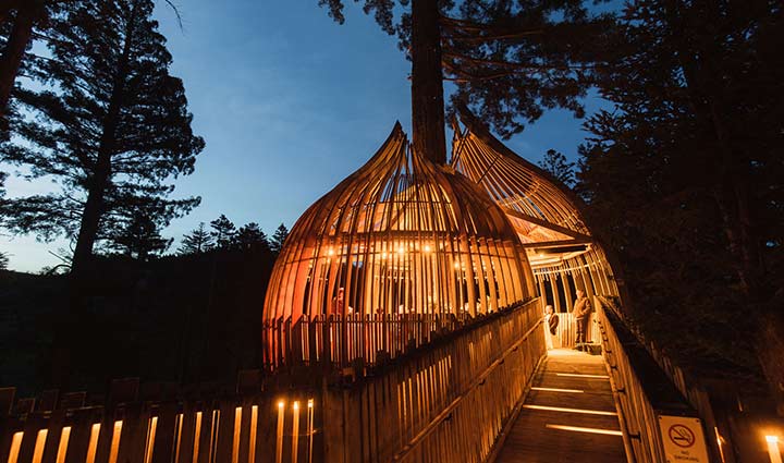 عجیب ترین رستوران‌های دنیا - رستوران Redwoods Treehouse، وارک‌ورث، نیوزیلند