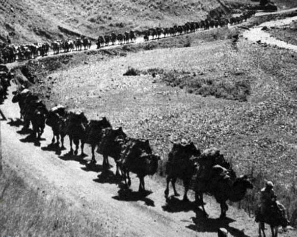 فراز و فرودهای گردشگری ایران در چند سده اخیر