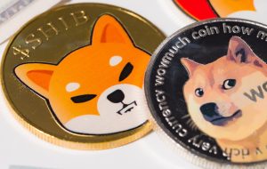 هشدار جردن بلفورت «گرگ وال استریت» درباره سرمایه‌گذاری در ارزهای دیجیتال Dogecoin و Shiba Inu – اخبار بیت‌کوین