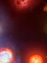 چرخه حیات یک DAO: درون یک پدیده فرهنگی