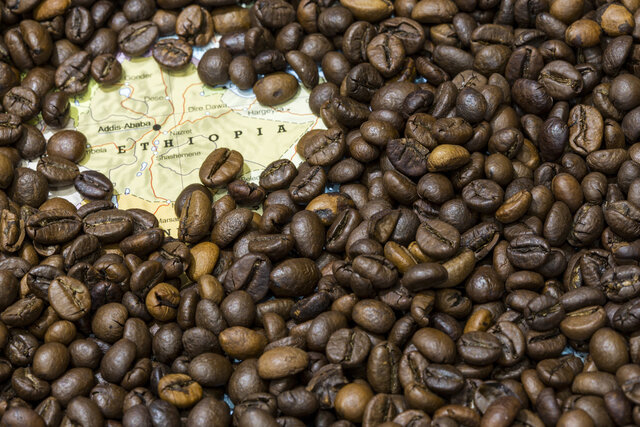 جایگاه قهوه در کشورهای تولیدکننده این میوه افسانه‌ای