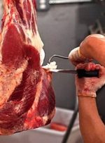 خبر مهم وزیر جهادکشاورزی درباره قیمت گوشت و مرغ