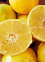 قیمت لیمو شیرین سر به فلک کشید