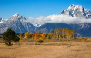 شهر Blockchain CityDAO قربانی هک 95 هزار دلاری از طریق Discord شد شهر Blockchain CityDAO قربانی هک 95 هزار دلاری از طریق Discord شد