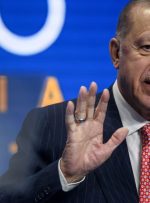 بیت کوین Bukele چیزی نیست که ترکیه به آن نیاز دارد