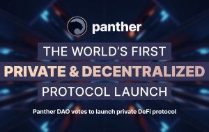 Panther DAO به راه‌اندازی پروتکل خصوصی DeFi رای می‌دهد در پایان ژانویه – انتشار مطبوعاتی Bitcoin News