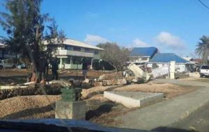 “آکوامن واقعی” تونگان از شنای 27 ساعته پس از سونامی جان سالم به در برد.