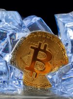 تحلیلگران معتقدند چرخه قیمت بیت‌کوین ناقص است، معامله‌گر می‌گوید «حرکت بعدی بیت‌کوین باید برترین چرخه باشد» – به‌روزرسانی‌های بازار اخبار بیت‌کوین