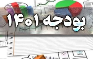 حیاط خلوت دولت‌ها / در تبصره ۱۴ بودجه چه خبر است؟