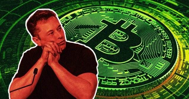  رونمایی از خالق بیت‌کوین/ ایلان ماسک چه کسی را به عنوان ساتوشی ناکاموتو معرفی کرد؟