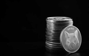 شیبا اینو DAO را راه اندازی کرد تا قدرت را به جامعه بدهد شیبا اینو DAO را راه اندازی کرد تا قدرت را به جامعه بدهد