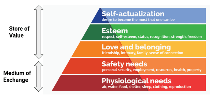 قانون ناکاموتو گرشمس