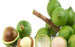 ماکادمیا، غنی از همه چیز! ماکادمیا، غنی از همه چیز!