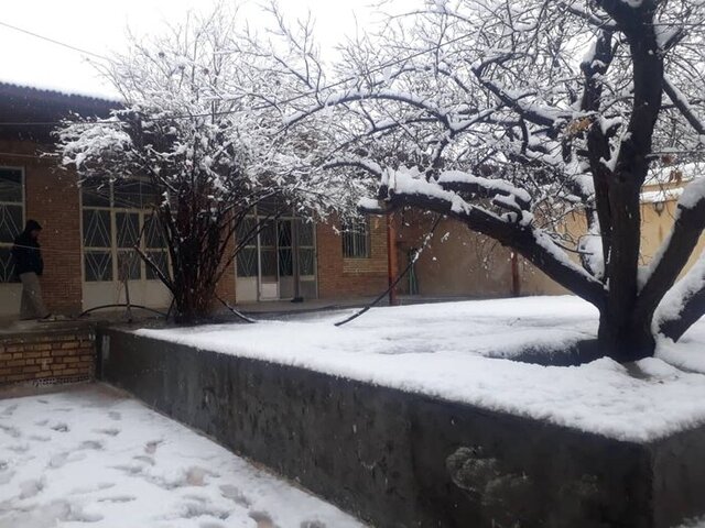 مراتب ثبت ملی خانه پدری سردار سلیمانی به استاندار کرمان ابلاغ شد مراتب ثبت ملی خانه پدری سردار سلیمانی به استاندار کرمان ابلاغ شد