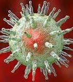 یک ویروس معمولی عامل ابتلا به بیماری ام اس