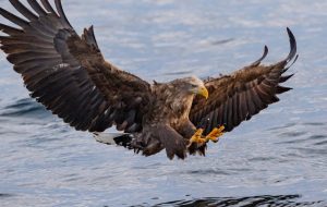 تحلیلگران بیت کوین می گویند که محور Hawkish فدرال رزرو ممکن است دوام نیاورد