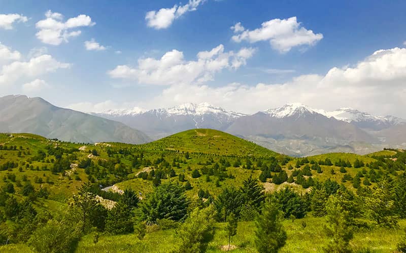 منطقه ای کوهستانی با درختان سرسبز