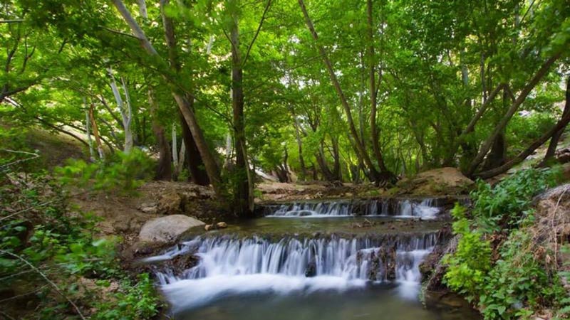 طبیعت زیبای تنگ بستانک در حوالی شهرستان کامفیروز پارس