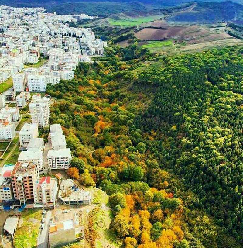 طبیعت پارک جنگلی اطراف گرگان از نمای بالا