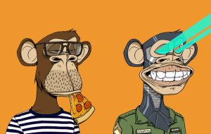 Andreessen Horowitz به دنبال سرمایه گذاری در Bored Ape Yacht Club – Bitcoin News