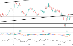 سهام آمازون در سطح ساخت یا شکست |  آسیاب کنه