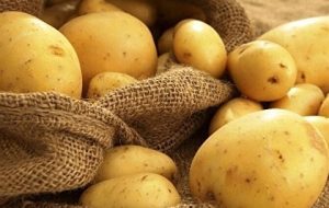 قیمت جدید سیب زمینی برای توزیع در میادین تره بار از شنبه ۱۶ بهمن