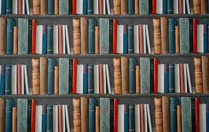 ویدئو: معاملات ارزی فقط برای معامله گران FX نیست.  نحوه پرچین