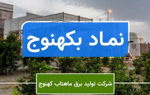 زیاندهی «بکهنوج» برای سومین سال پیاپی / امسال بخت این سهم باز می شود؟