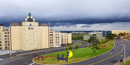 دانشگاه مونترال کانادا