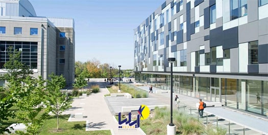 دانشگاه یورک کانادا