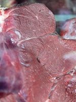 افزایش قیمت هر کیلو گوشت گوسفندی به ۱۹۰ هزار تومان