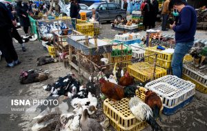 بازگشایی جمعه بازار «جویبار» پس از دو سال