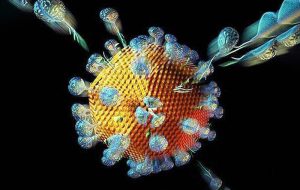 توضیح وزارت بهداشت درباره ویروس جدید «مالبورگ»