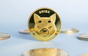 تعداد دارندگان SHIB در 3 روز لرزید، Shiba Inu در ماه گذشته 17% کاهش یافت – Altcoins Bitcoin News