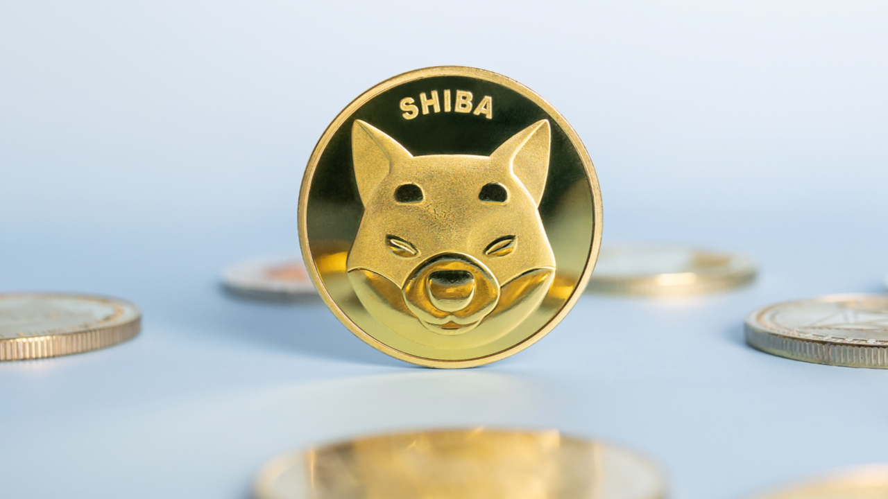 تعداد دارندگان SHIB در 3 روز لرزید، Shiba Inu در ماه گذشته 17% کاهش یافت