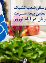 خدمت‌رسانی شعب کشیک و مرکز تماس بیمه سرمد به مشتریان در ایام نوروز