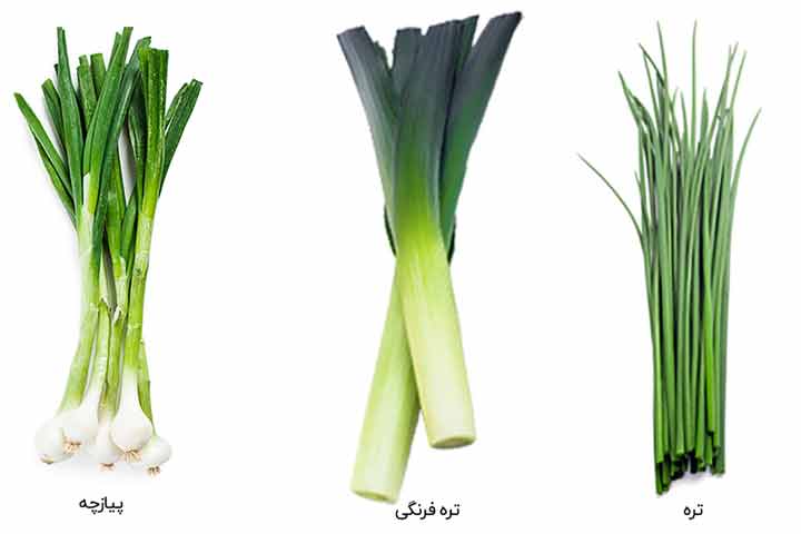 فرق تره فرنگی با پیازچه و تره