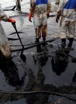 در بحبوحه آتش سوزی نیروگاه هسته ای Zaporozhye، نفت ایالات متحده تظاهرات کرد