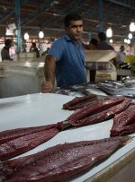 رشد قیمت خوراکی شب عید/ ماهی قزل‌آلا کیلویی چند؟