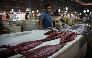 رشد قیمت خوراکی شب عید/ ماهی قزل‌آلا کیلویی چند؟