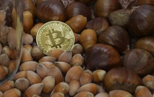 شرکت فین‌تک آمریکا Acorns سرمایه‌گذاری در معرض کریپتو را از طریق Proshares Bitcoin ETF اضافه می‌کند – اخبار بیت‌کوین