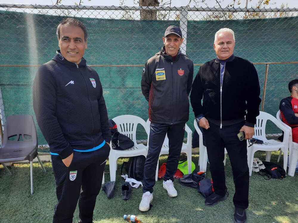 مار زنگی آسیا در اطراف پرسپولیس/عکس