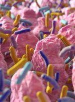 میکروب‌های روده بر ویژگی‌های شخصیتی انسان تأثیر دارند؟