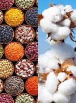 نگاهی به چرخه تجاری بازار کامودیتی‌ها در سال جدید