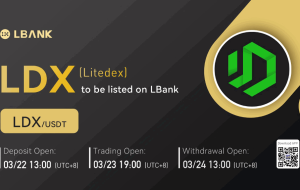 پروتکل Litedex، اولین DEX در اندونزی که توسط معاون وزیر تجارت به عنوان توسعه دهنده بلاک چین متا فاینانس پشتیبانی می شود، در LBank فهرست می شود – انتشار مطبوعاتی Bitcoin News